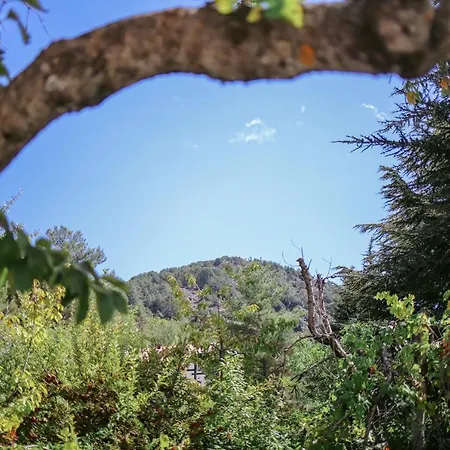 Legacy 1930s Prodromos