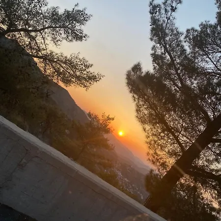 Legacy 1930s * Prodromos