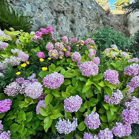 Сasa de vacaciones Legacy 1930s *