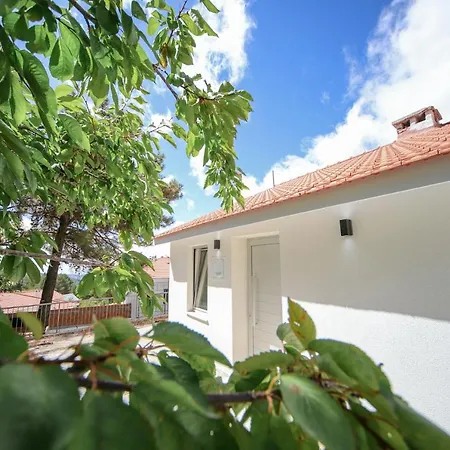 Legacy 1930s Prodromos