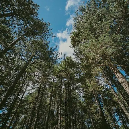 Case de vacanță Legacy 1930s Prodromos