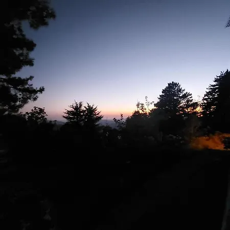 Legacy 1930s Prodromos