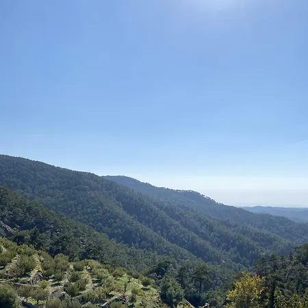 Legacy 1930s Case de vacanță *