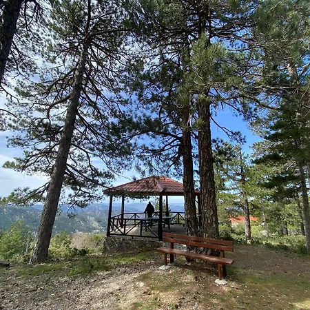 Legacy 1930s * Prodromos