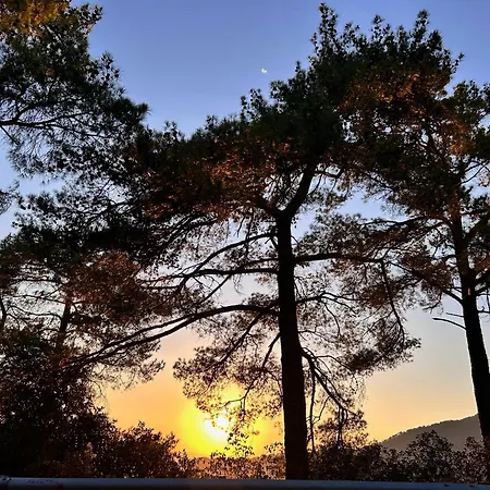 Case de vacanță Legacy 1930s *