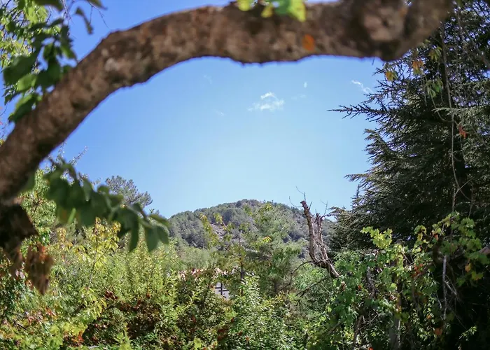 Legacy 1930s Prodromos