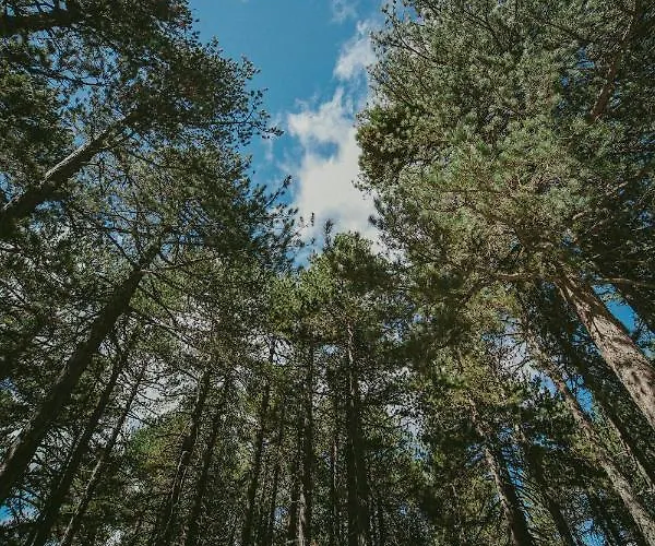 Prázdninový dům Legacy 1930s Prodromos