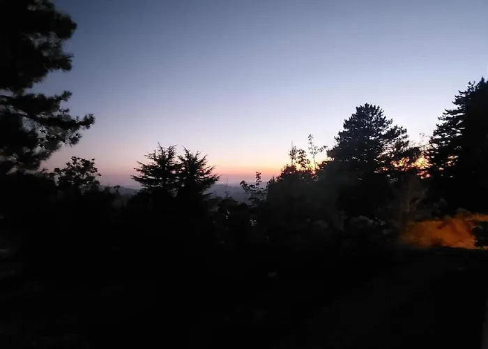 Legacy 1930s Prodromos