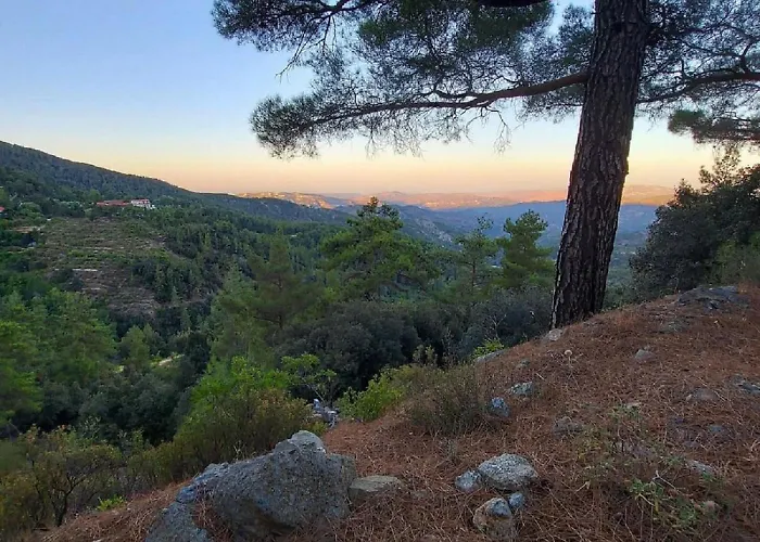 Legacy 1930s 펜션 프로드로모스