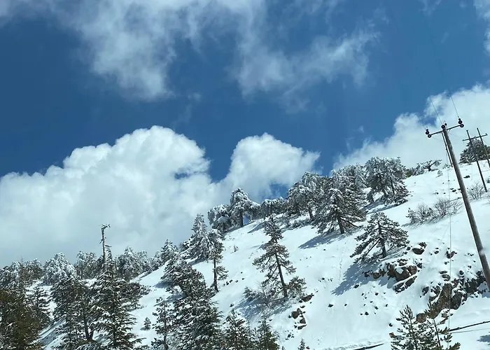 Prázdninový dům Legacy 1930s Prodromos