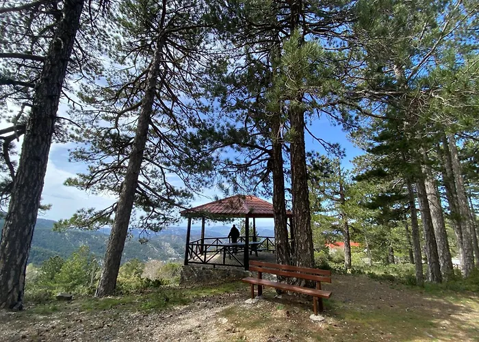 Legacy 1930s * Prodromos