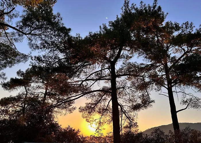 Prázdninový dům Legacy 1930s *